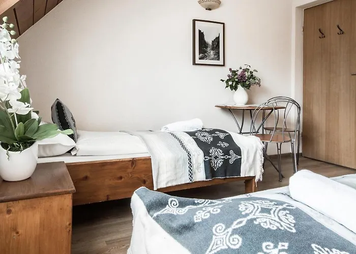 Arkadia 扎科帕内